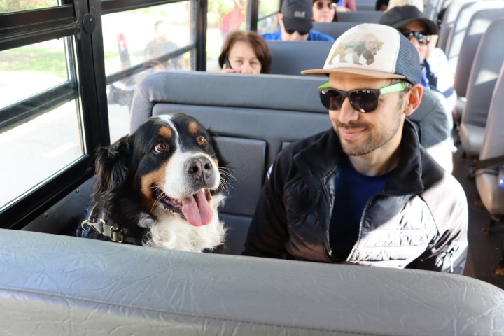 a man and a dog sitting on top of a car window