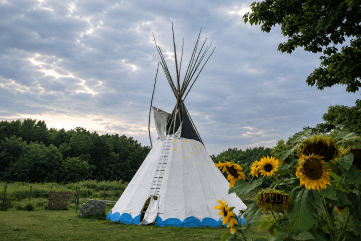 Teepee with ladder on grassy field, sunflower foreground, cloudy sky.