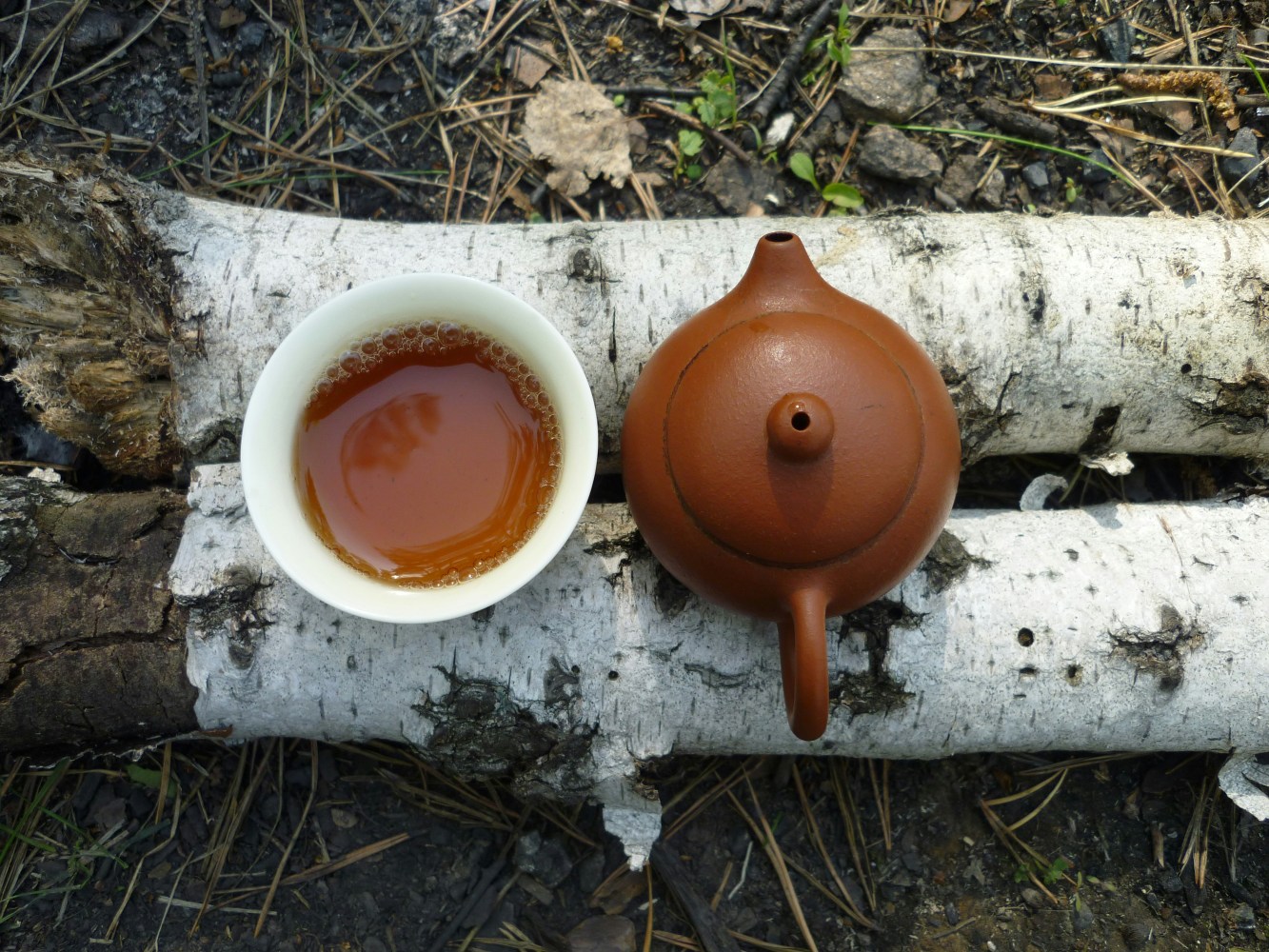 Clay teapot and white teacup on birch logs outdoors.
