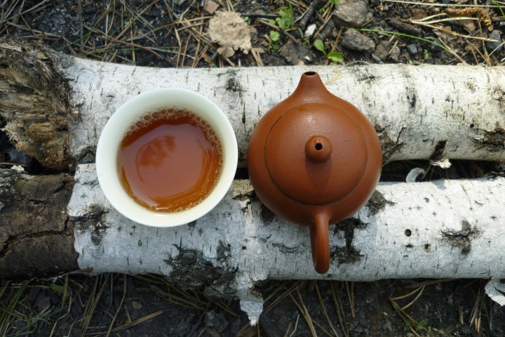 Clay teapot and white teacup on birch logs outdoors.