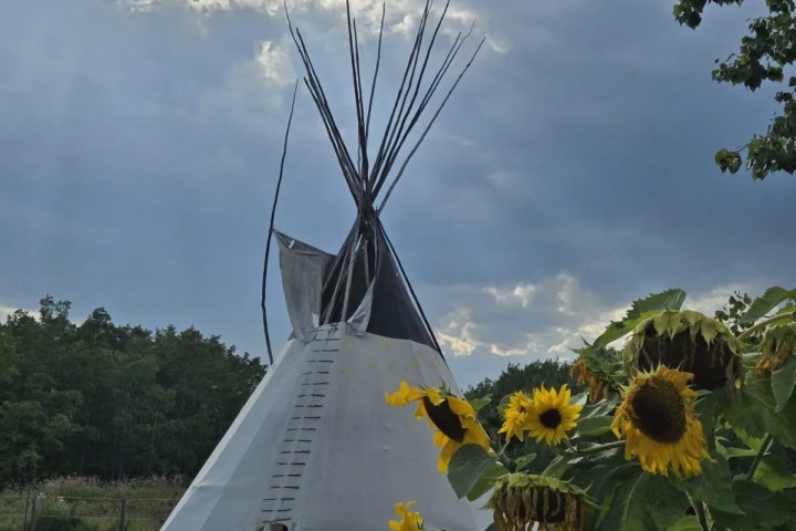 Teepee under cloudy sky with sunflowers in the foreground.