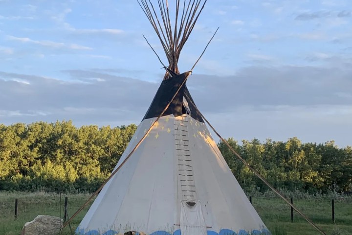 A teepee under a blue sky in a grassy field with trees in the background.